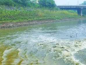 保定定州污水清运多少钱